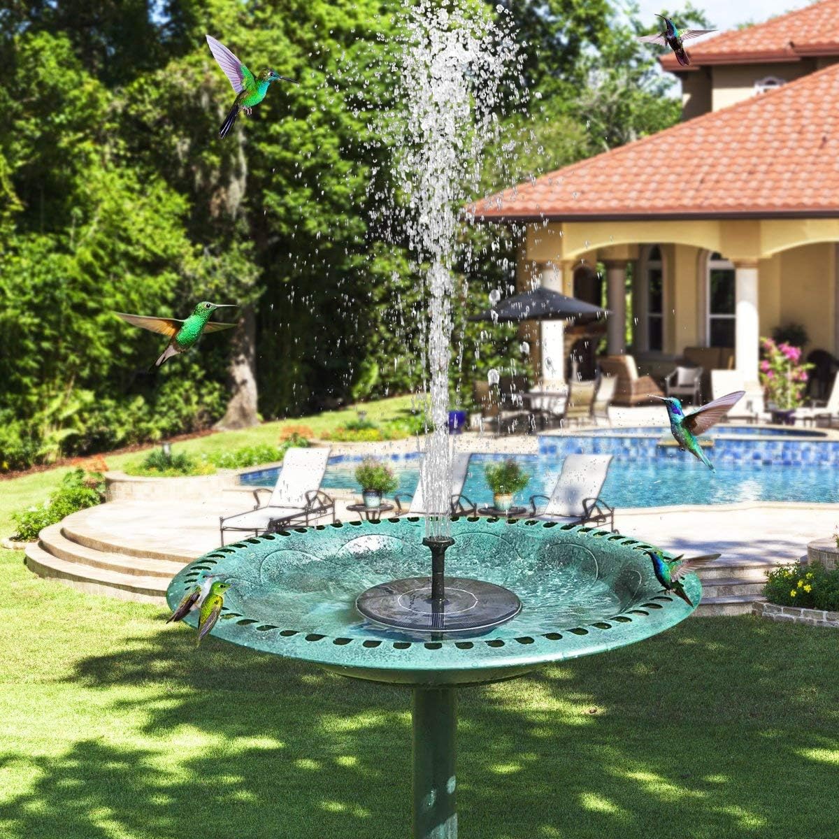Evedior Solar Bird Bath Fountains, Upgrade 1.5W Solar Fountain Pump with 6 Nozzles, Free Standing Floating Solar Powered Water Fountain Pump for Bird Bath, Garden, Pond, Pool, Outdoor
